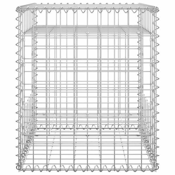 Gabionensäulen 2 Stk. 50x50x60 cm Eisen