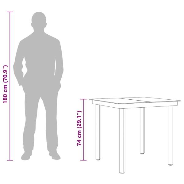 Garten-Esstisch Schwarz 80x80x74 cm Stahl und Glas