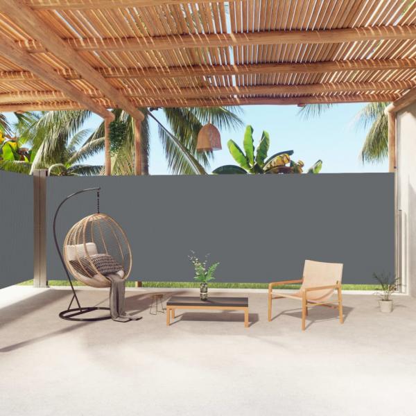 ARDEBO.de - Seitenmarkise Ausziehbar Anthrazit 200x1000 cm
