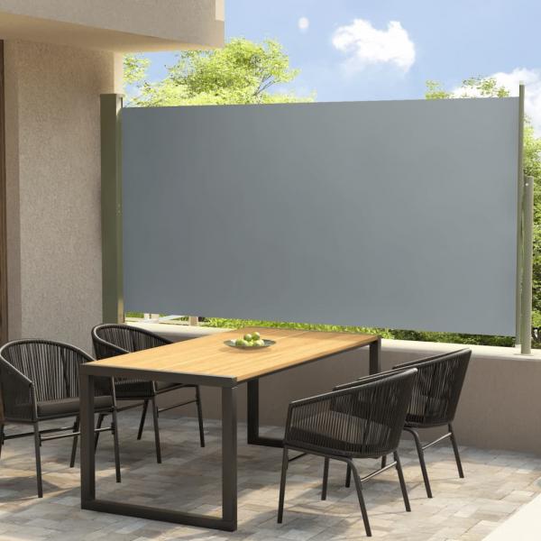 ARDEBO.de - Seitenmarkise Ausziehbar 160x300 cm Grau