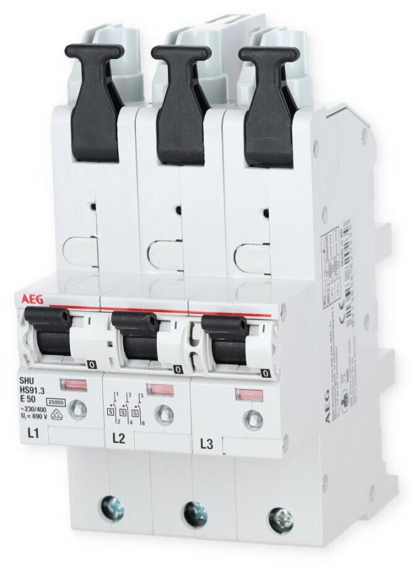 AEG HS91.3E50SAV Sel. Haupt-LS, 50A, 25kA (2CDS781055R4502)