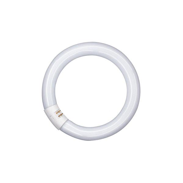 ARDEBO.de LEDVANCE L 40W/840C Ringform Röhre, 40W, 2900lm, 4000K (L 40W/840 C)