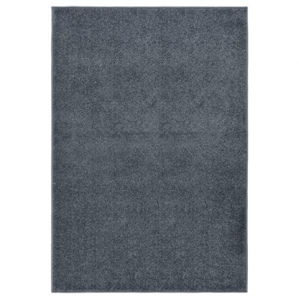 ARDEBO.de - Teppich Kurzflor 160x230 cm Anthrazit