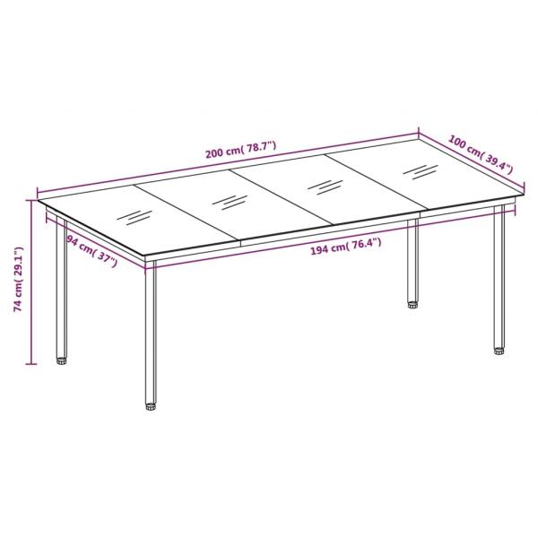 Garten-Esstisch Schwarz 200x100x74 cm Stahl und Glas