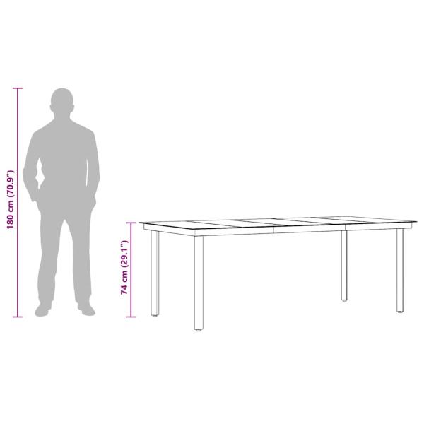 Garten-Esstisch Schwarz 200x100x74 cm Stahl und Glas