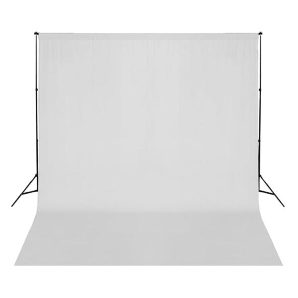 Fotostudio-Set mit Beleuchtung und Hintergrund