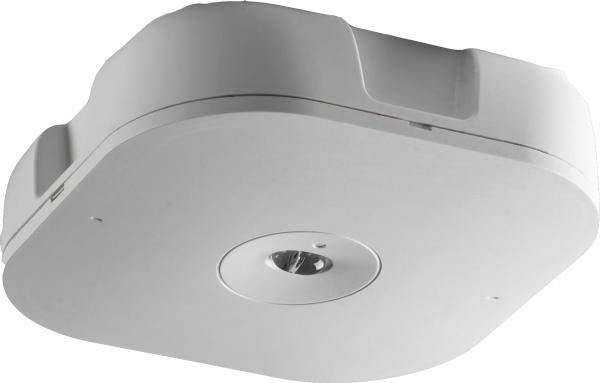 ARDEBO.de - HMP2SE3HIS Sicherheitsleuchte als Deckenaufbauleuchte mit asymmetrischer Optik f