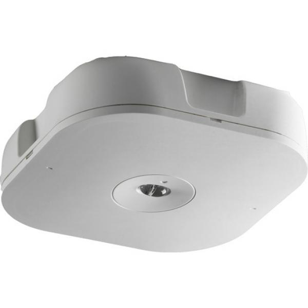 Newlec HMP2SE3HIS Sicherheitsleuchte als Deckenaufbauleuchte mit asymmetrischer Optik f