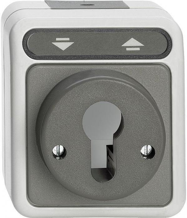 ARDEBO.de Merten MEG3717-8029 Rollladen-Tast-Rastschalter für Schließzylinder, Aquastar, 10 A, AC 250 V, lichtgrau