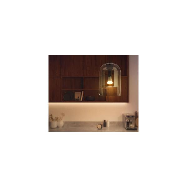 Philips Hue White Ambiance Smarte LED Lampe, 15W, A67, E27, 1521lm, 4000K (929002471901)
