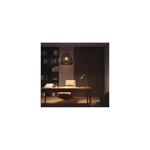 Philips Hue White E27 Lampe, A60, 15,5W, 1600lm (929002334904)