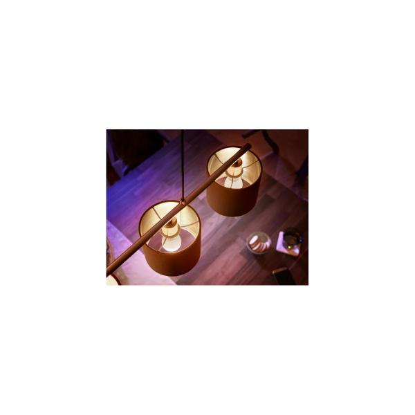 Philips Hue White Luster Smarte Lampe, E14, 5,7W, 470lm, 2700K (929002440604)