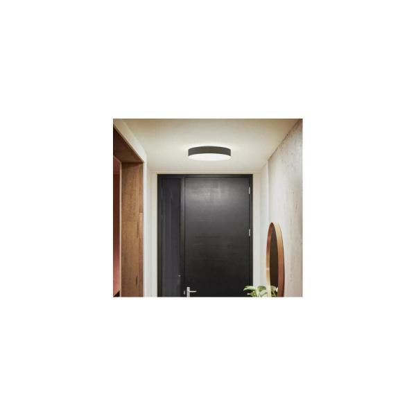 Philips Hue Enrave LED Deckenleuchte M, Dimmschalter, 19,2W, 2450lm, 4000K, schwarz (915005996701)