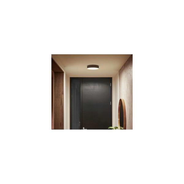 Philips Hue Enrave LED Deckenleuchte S, Dimmschalter, 9,6W, 1220lm, 4000K, schwarz (915005996501)