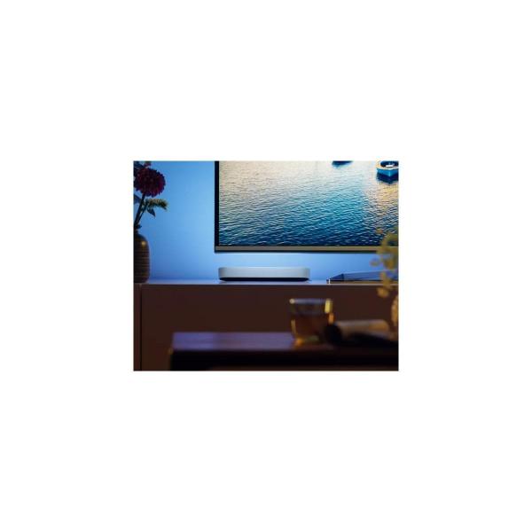 Philips Hue Play Lightbar, Basis-Set Doppelpack, 500lm, 13,2W, 4000K, weiß (915005734601)