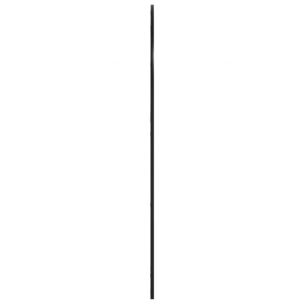 Wandspiegel Schwarz 100x130 cm Gewölbt Eisen