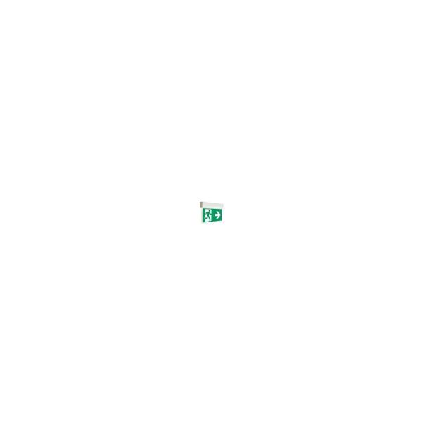 ARDEBO.de RP Group KSU013SC Rettungszeichen-Leuchte Universal, EB + SC/3h, Lithium
