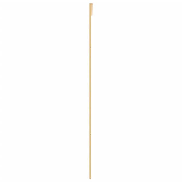 Schiebetür Golden 102,5x205 cm ESG-Klarglas und Aluminium