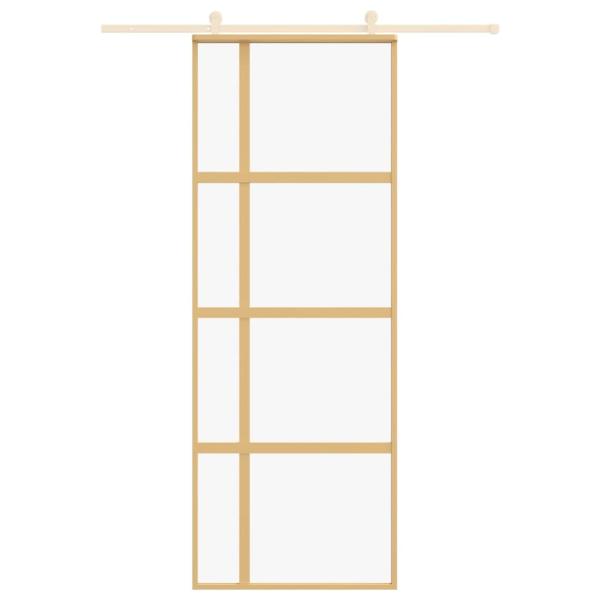 Schiebetür Golden 76x205 cm ESG-Klarglas und Aluminium