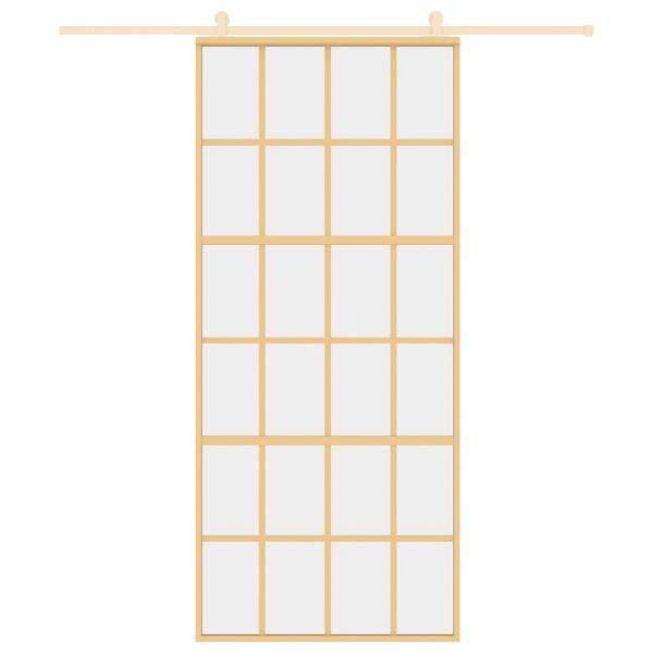 Schiebetür Golden 90x205 cm ESG-Klarglas und Aluminium