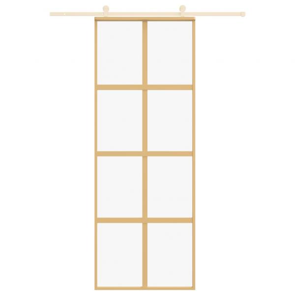 Schiebetür Golden 76x205 cm ESG-Klarglas und Aluminium