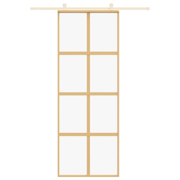 Schiebetür Golden 76x205 cm ESG-Klarglas und Aluminium