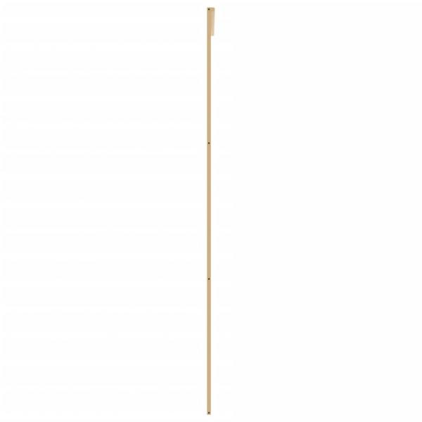 Schiebetür Golden 102,5x205 cm ESG-Klarglas und Aluminium
