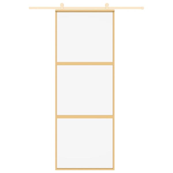 Schiebetür Golden 76x205 cm ESG-Klarglas und Aluminium