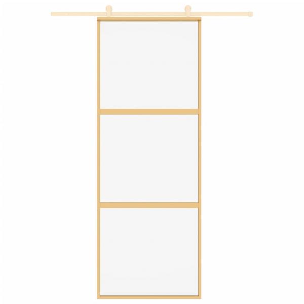 Schiebetür Golden 76x205 cm ESG-Klarglas und Aluminium