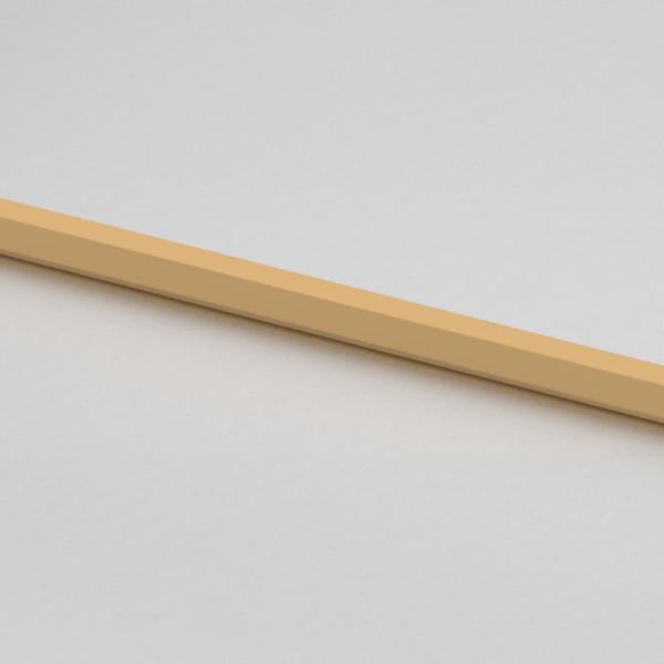 Innentür Schlank Golden 93x201,5 cm Hartglas und Aluminium