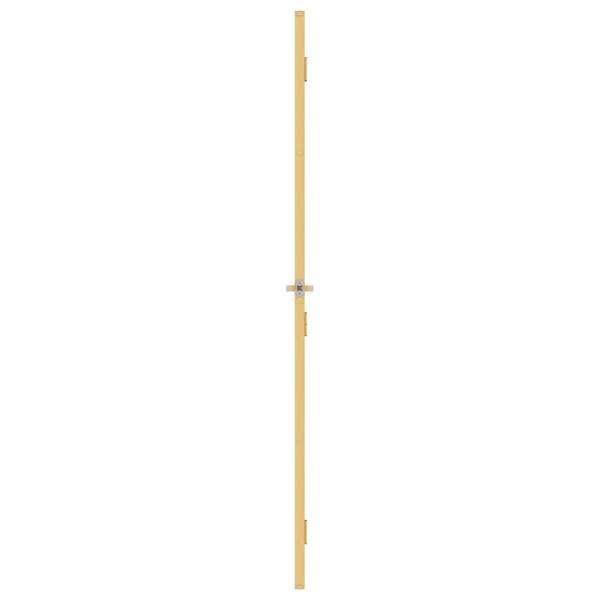 Innentür Schlank Golden 102,5x201,5 cm Hartglas und Aluminium