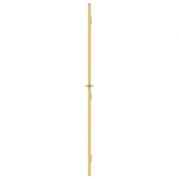Innentür Schlank Golden 83x201,5 cm Hartglas und Aluminium