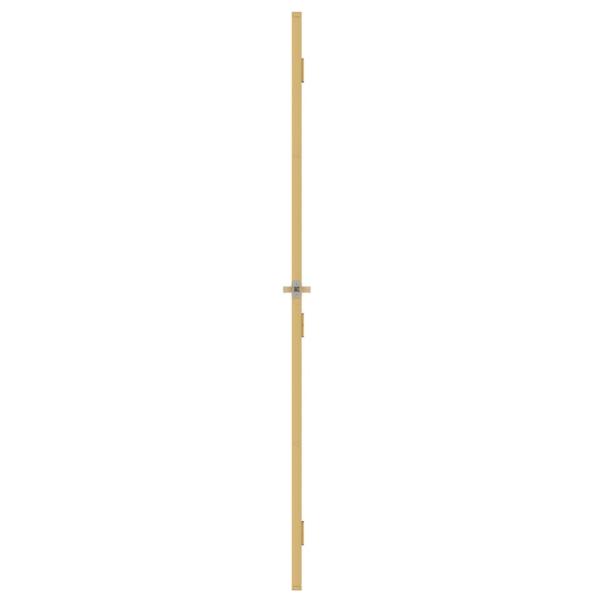 Innentür Schlank Golden 76x201,5 cm Hartglas und Aluminium