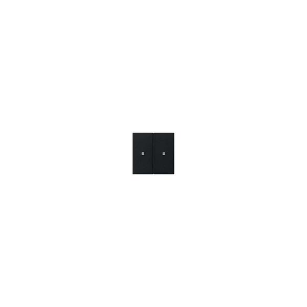 ARDEBO.de Gira 5107005 KNX RF Bedienaufsatz 2fach, Schwarz matt