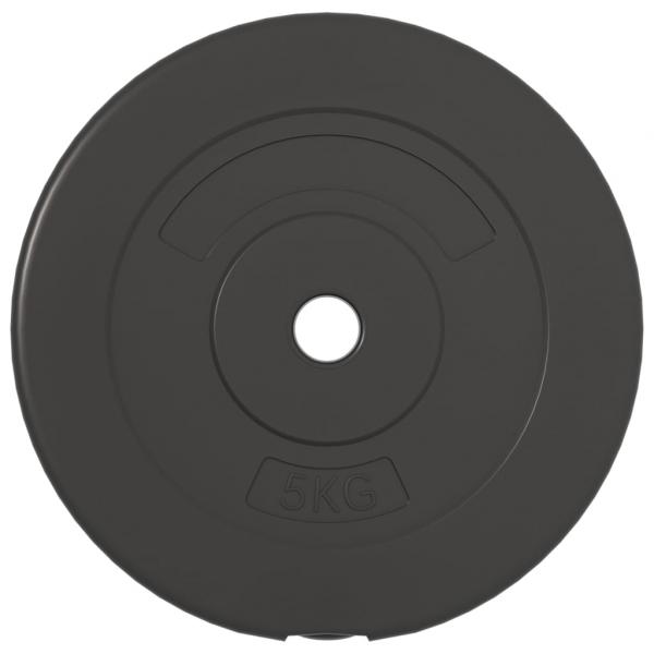 Hantelscheiben 4 Stk. 30 kg Zement