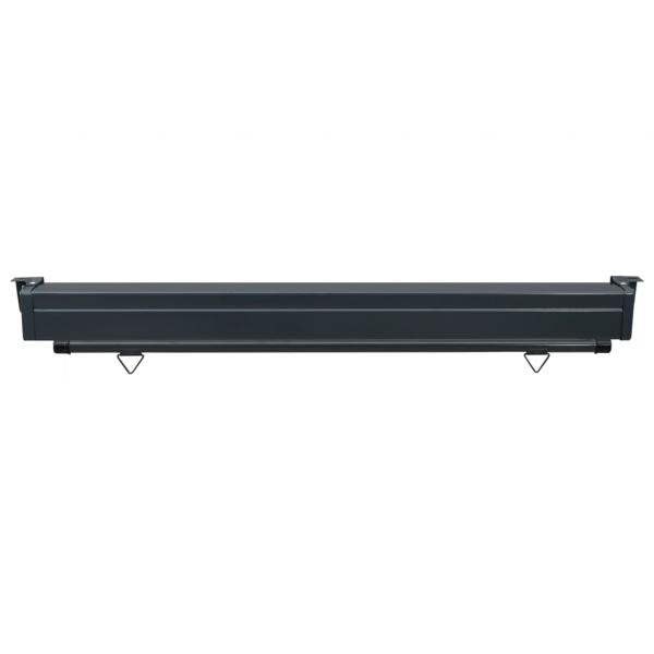 Balkon-Seitenmarkise 160 × 250 cm Schwarz