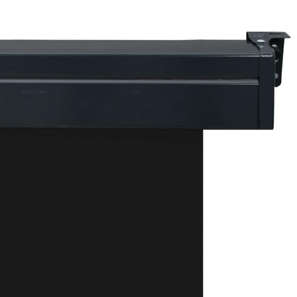 Balkon-Seitenmarkise 160 × 250 cm Schwarz
