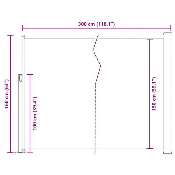 Ausziehbare Seitenmarkise 160x300 cm Grau