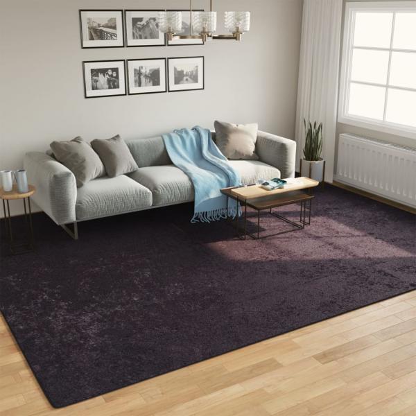 ARDEBO.de - Teppich Waschbar Anthrazit 400x300 cm Rutschfest