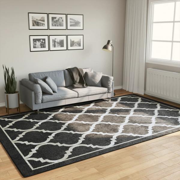 ARDEBO.de - Teppich Waschbar Schwarz und Weiß 190x300 cm Rutschfest