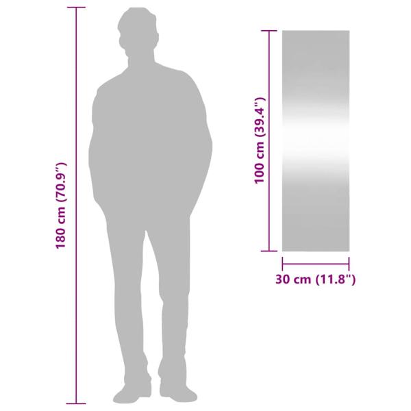 Wandspiegel 30x100 cm Glas Rechteckig