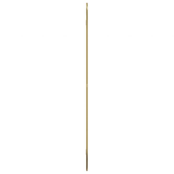 Wandspiegel Golden 80x50 cm