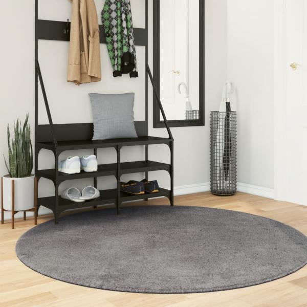 ARDEBO.de - Teppich HUARTE Kurzflor Weich und Waschbar Anthrazit Ø 160 cm