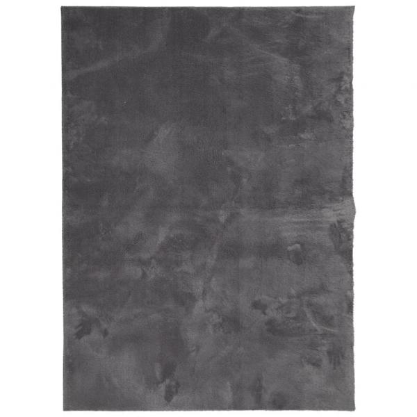 Teppich HUARTE Kurzflor Weich und Waschbar Anthrazit 140x200 cm