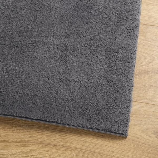 Teppich HUARTE Kurzflor Weich und Waschbar Anthrazit 160x230 cm