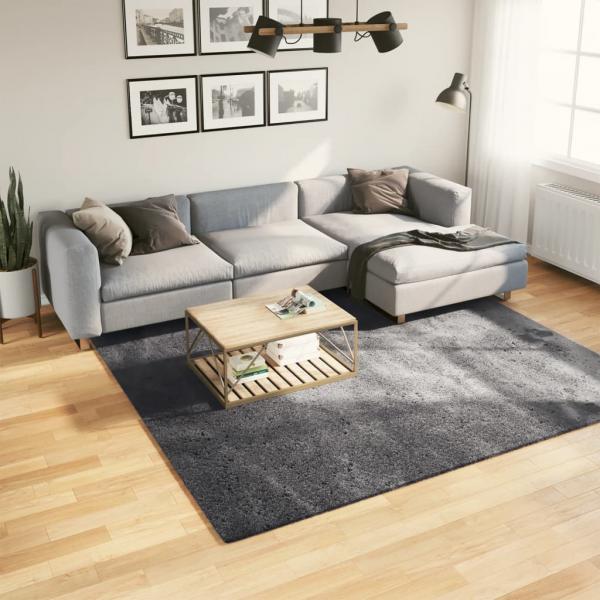 ARDEBO.de - Teppich HUARTE Kurzflor Weich und Waschbar Anthrazit 240x240 cm
