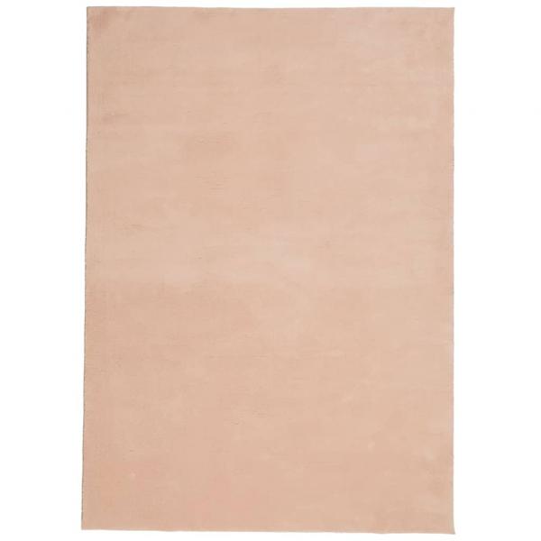 Teppich HUARTE Kurzflor Weich und Waschbar Blassrosa 120x170 cm