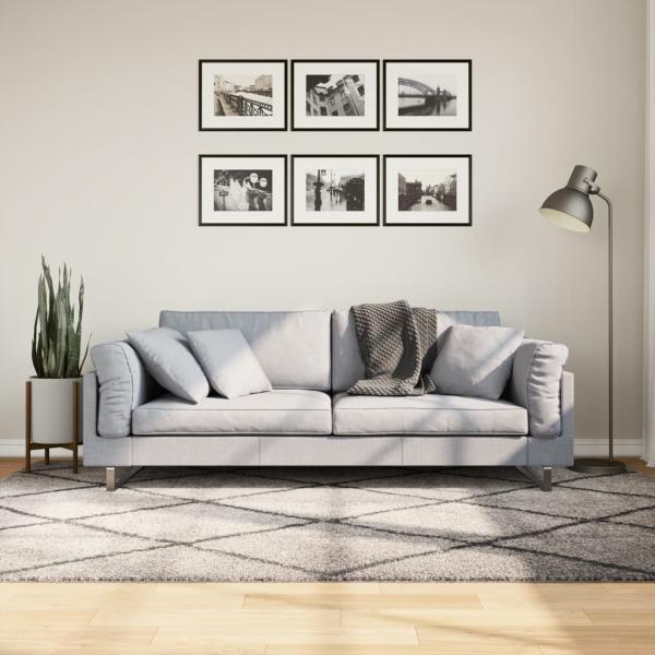 ARDEBO.de - Teppich Shaggy Hochflor Modern Beige und Anthrazit 160x230 cm