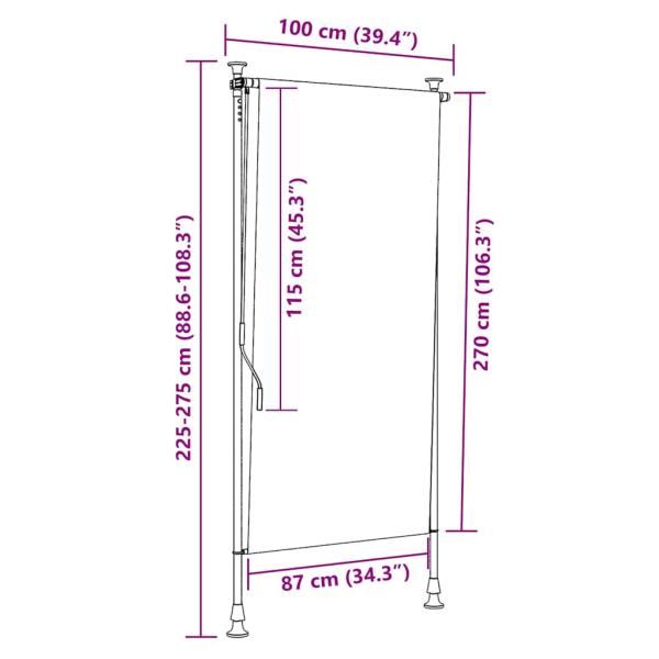 Außenrollo 100 x 270 cm Anthrazit 