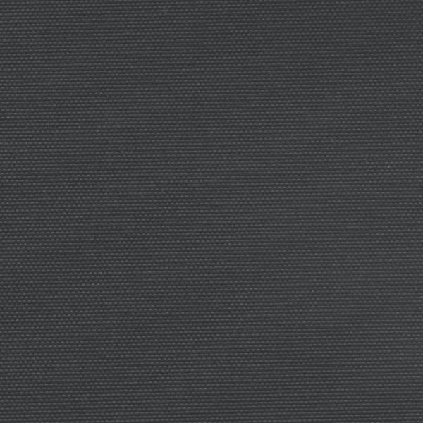 Seitenmarkise Ausziehbar Schwarz 180x300 cm